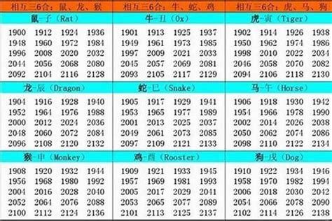 1982 屬|82年属什么生肖 1982年与什么生肖合作最佳